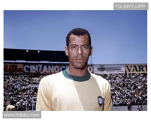 足球明星的魅力与成就全面解析及其对全球足球文化的影响