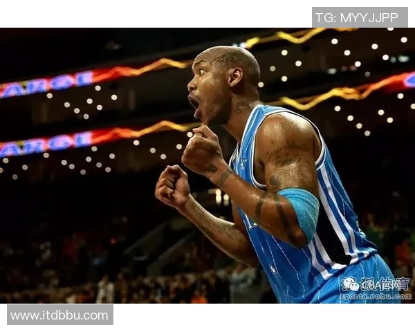 老马篮球传奇瞬间回顾经典时刻与精彩表现的完美结合